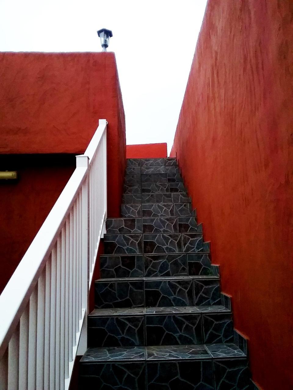 Apartamentos Trebol Mocanal Exterior foto